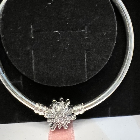Pandora Limited Edition Fireworks Bangle - Picture 7 of 8